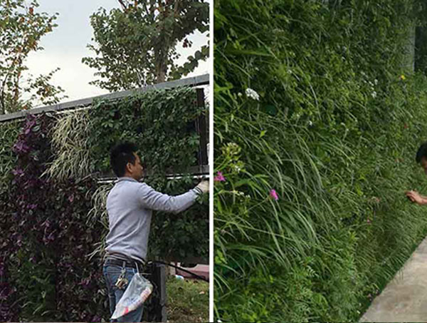 都匀立体绿化设计的核心原则