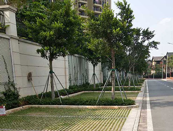 都匀植草砖的功能优势与实际应用 城市绿化铺装专用建材