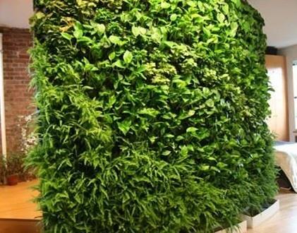 都匀立体绿化材料的植物搭配设计